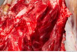 Photo Textures of Beef Meat